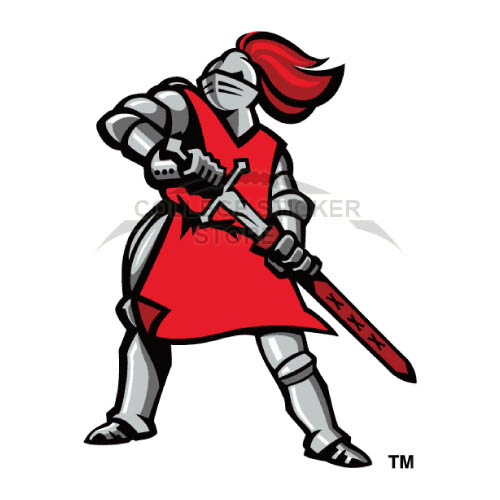 Homemade Rutgers Scarlet Knights Iron-on Transfers (Wall Stickers)NO.6041